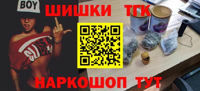 индика Будённовск
