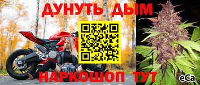индика Будённовск