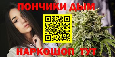 индика Будённовск
