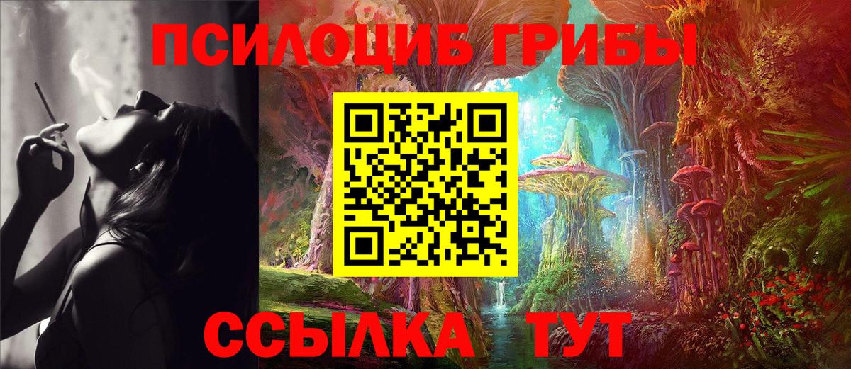 Галлюциногенные грибы Psilocybe Петрозаводск