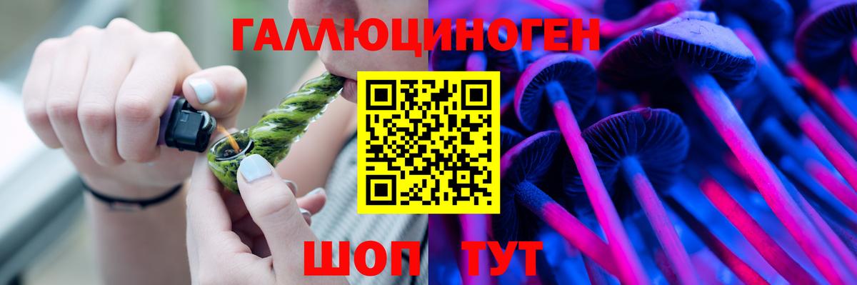 Петрозаводск  Галлюциногенные грибы Psilocybe  Вход с VPN 